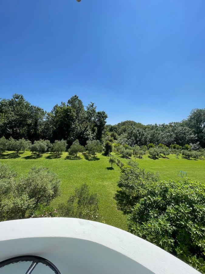 מלון אולסינץ' Casa Gazi מראה חיצוני תמונה